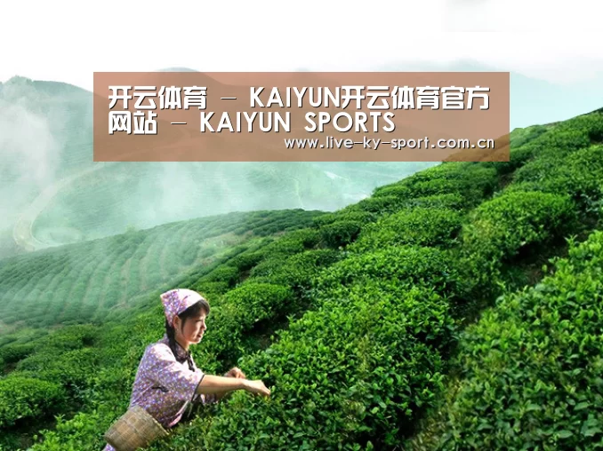 开云体育 - KAIYUN开云体育官方网站 - KAIYUN SPORTS